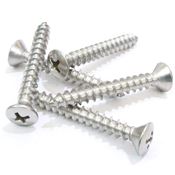 Stainless Steel Screws Exporter