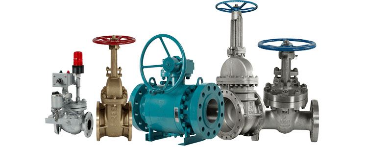 Valves Manufacturer